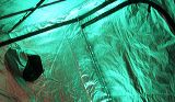 img_0079