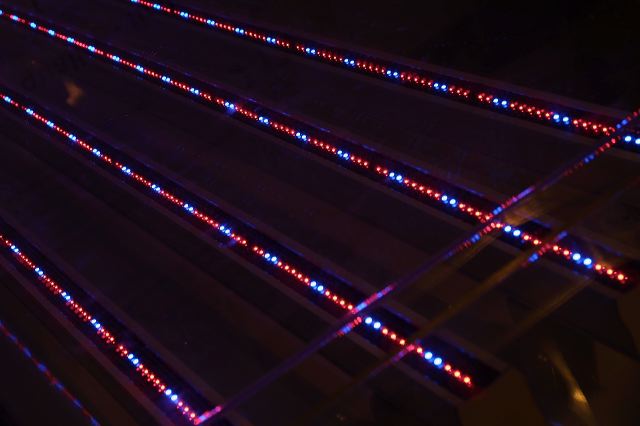 img_0082.jpg