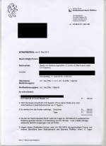 summary penalty orders 2013